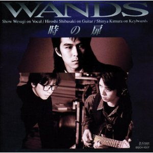 WANDS : 時の扉 (1993)